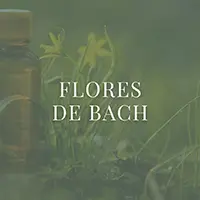 Flores de Bach